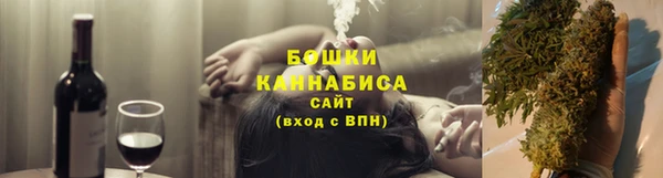 стаф Мегион